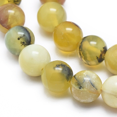 Natural Yellow Opal Round Bead Strands G-M296-02-10mm-1