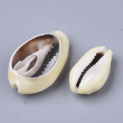Natural Cowrie Shell Beads SSHEL-N034-28-1