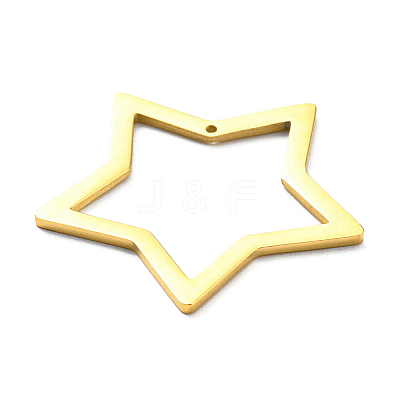 304 Stainless Steel Pendants STAS-B044-02G-1