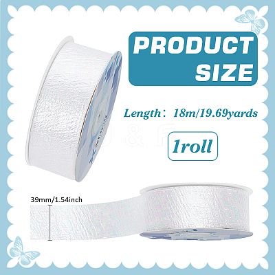 18M Iridescent Polyester Ribbon OCOR-WH0097-10A-1
