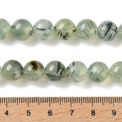Natural Prehnite Beads Strands G-G474-A01-10mm-1