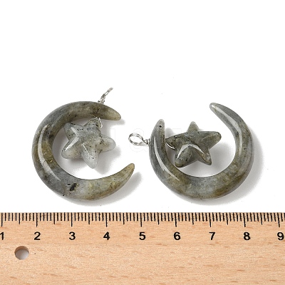 Natural Labradorite Pendants G-Z086-01P-14-1