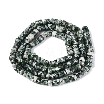 Natural Green Spot Jasper Beads Strands G-Q606-46A-07-1