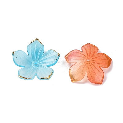 Transparent Acrylic Bead Caps X-TACR-P011-03G-1