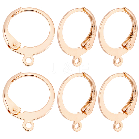 50Pcs 304 Stainless Steel Leverback Earring Findings STAS-BBC0009-47-1
