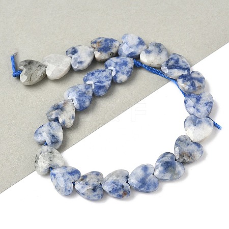 Natural Blue Spot Jasper Beads Strands G-D316-B10-1