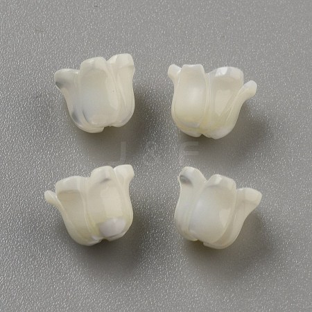 Natural Sea Shell Carved Beads LS-SHEL-WH0001-021A-1