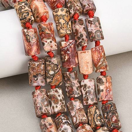 Natural Red Leopard Skin Jasper Beads Strands G-A314-A05-01-1