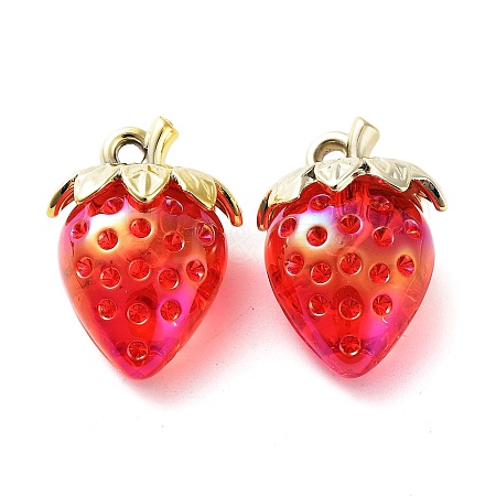 Transparent Acrylic Pendants X-MACR-K335-04C-01-1