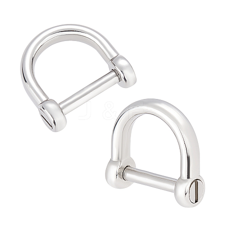CHGCRAFT 2Pcs 304 Stainless Steel D-Ring Anchor Shackle Clasps STAS-CA0001-56A-1