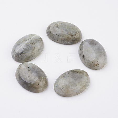 Natural Labradorite Flat Back Cabochons G-G741-22x30mm-18-1