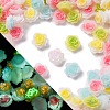 Luminous Resin Decoden Cabochons RESI-Z032-05C-1