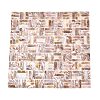 Natural Freshwater Shell Mosaic Tile Cabochons SHEL-Q029-02-1