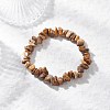 Natural Picture Jasper Beads Stretch Bracelets for Men Women BJEW-JB11845-1
