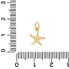 Brass Charms KK-A266-12F-G-3