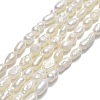 Natural Cultured Freshwater Pearl Beads Strands PEAR-J006-03F-01-1