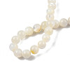 Natural White Shell Bead Strands SSHEL-N003-144E-01-4