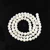 Natural White Shell Bead Strands X-SSHEL-N003-144D-01-2