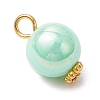 Opaque Acrylic Pendants PALLOY-JF03929-02-4