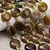 Natural Agate Beads Strands G-A321-L04-01-1