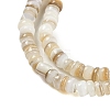 Natural Freshwater Shell Beads Strands X-BSHE-H109-13A-4