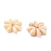 Natural Cowrie Shell Beaded Beads SH-CBACA76-06-2