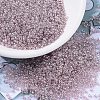 MIYUKI Round Rocailles Beads X-SEED-G007-RR0168-1