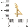 Brass Micro Pave Cubic Zirconia Pendants KK-D019-28G-04-3