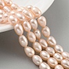 Natural Cultured Freshwater Pearl Beads Strands PEAR-P062-10G-2