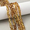 Natural Amber Beads Strands G-L095-E01-06-1