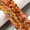 Natural Dyed White Jade Beads Strands G-M402-C04-27-5