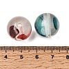Transparent Resin & Natural Shell Beads RE-CBA2450-04-3