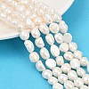 Natural Cultured Freshwater Pearl Beads Strands PEAR-P064-20K-03A-1