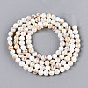 AB Color Natural Freshwater Shell Beads Strands BSHE-T014-40D-2