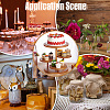 4-Tier Wooden Round Tiered Display Riser Stands for Jewelry ODIS-WH0086-168-5