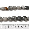 Natural Zebra Jasper Beads Strands G-A247-02-2