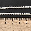 Electroplated Shell Pearl Beads Strands BSHE-K017-2.5mm-4