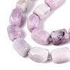 Natural Kunzite Beads Strands G-N362-07A-08-4