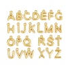 304 Stainless Steel Charms KK-I352-02G-1