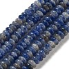 Natural Blue Spot Jasper Beads Strands G-K343-C18-01-1