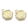 Alloy Pendants PALLOY-N157-003E-NR-2