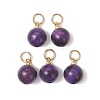 Dyed Natural Tiger Eye Round Charms PALLOY-JF04979-3