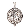 Alloy Diffuser Locket Pendants PALLOY-Q331-31AS-1