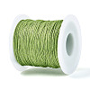 100M Segment Dyed Round Polyester Braided Cords OCOR-N009-03A-04-3