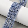 Natural Blue Aventurine Beads Strands X-G-M449-B01-2mm-1