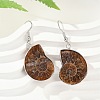 Fossil Spiral Dangle Earrings EJEW-P153-01-2