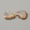 Natural Shell Pendants BSHE-TAC0001-02B-2