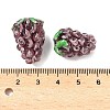 Handmade Lampwork Beads LAMP-U004-07D-4