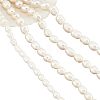  4 Strands 4 Styles Natural Cultured Freshwater Pearl Beads Strands PEAR-NB0001-87-1