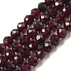 Natural Garnet Beads Strands G-F460-28-01-1